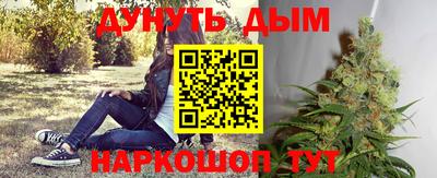 Альфа ПВП Обь