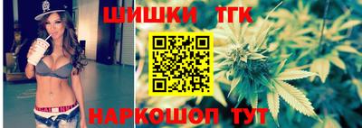 Альфа ПВП Обь